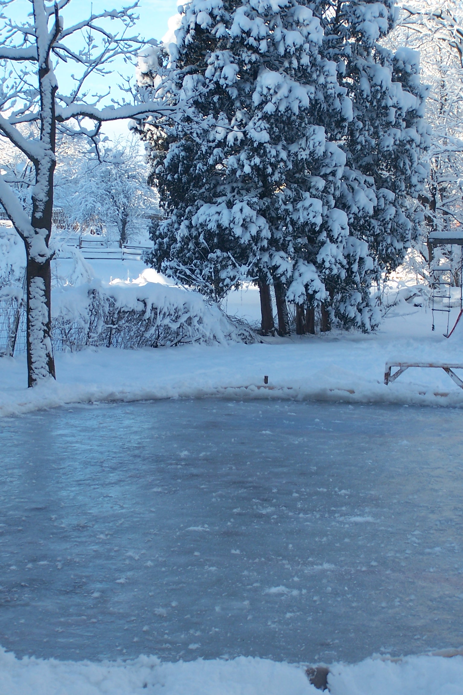 Backyard Ice Rink Update 2013 GregsHead